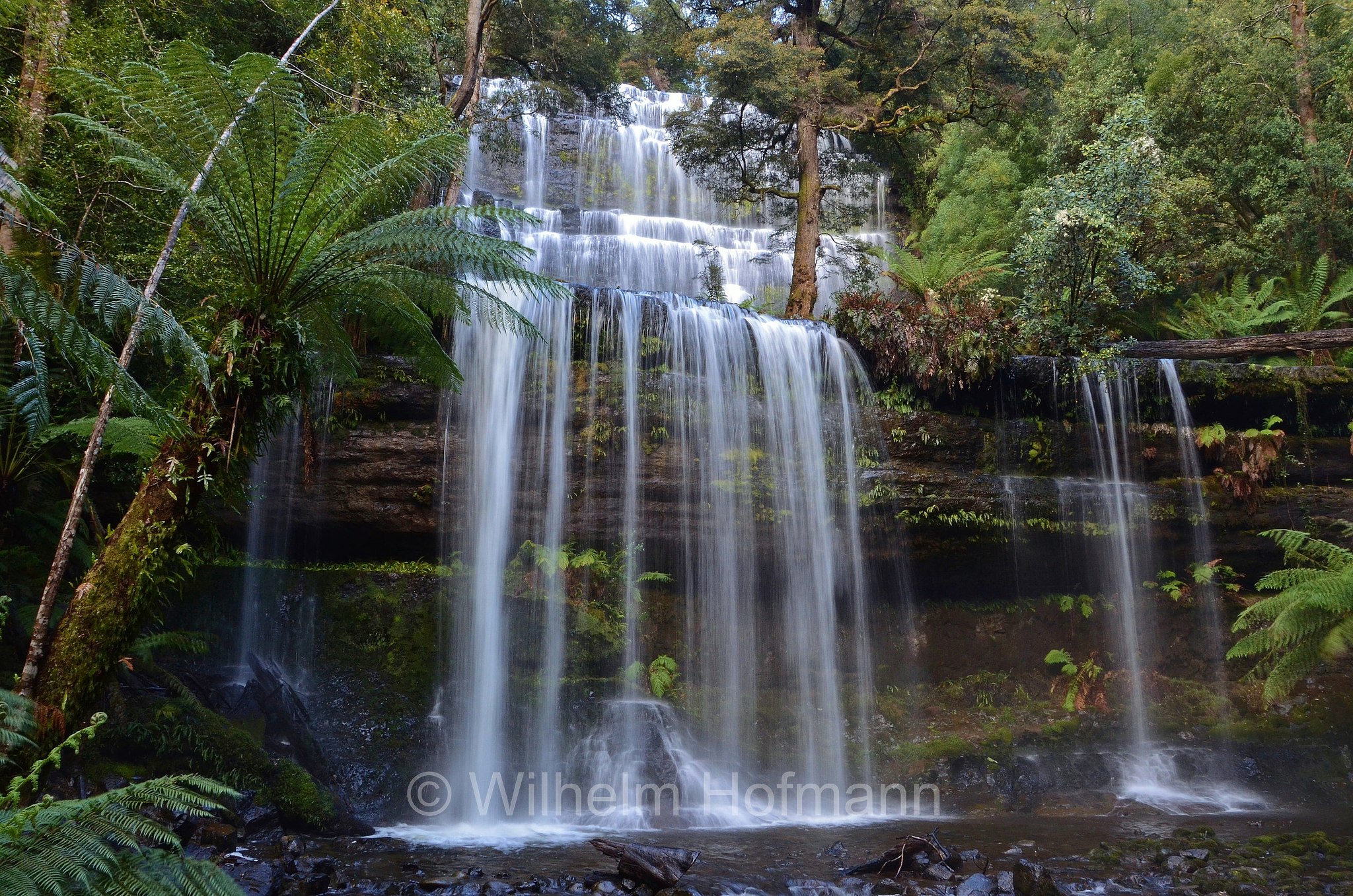 Russell Falls, Mount Field National Park, Mount-Field-Nationalpark, parco nazionale Mount Field, Tasmania, Tasmanien, Australia, Australien