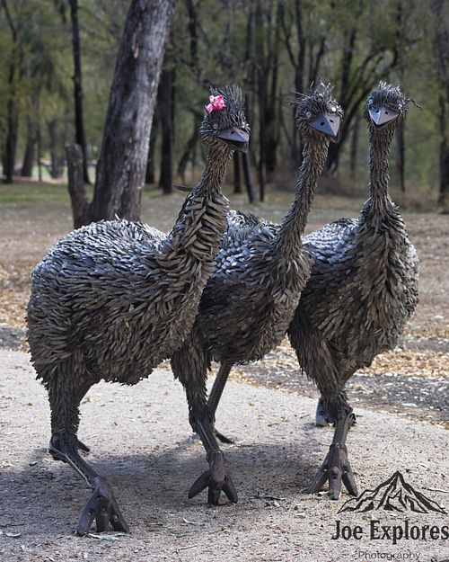 Emerald Emu Metal Art