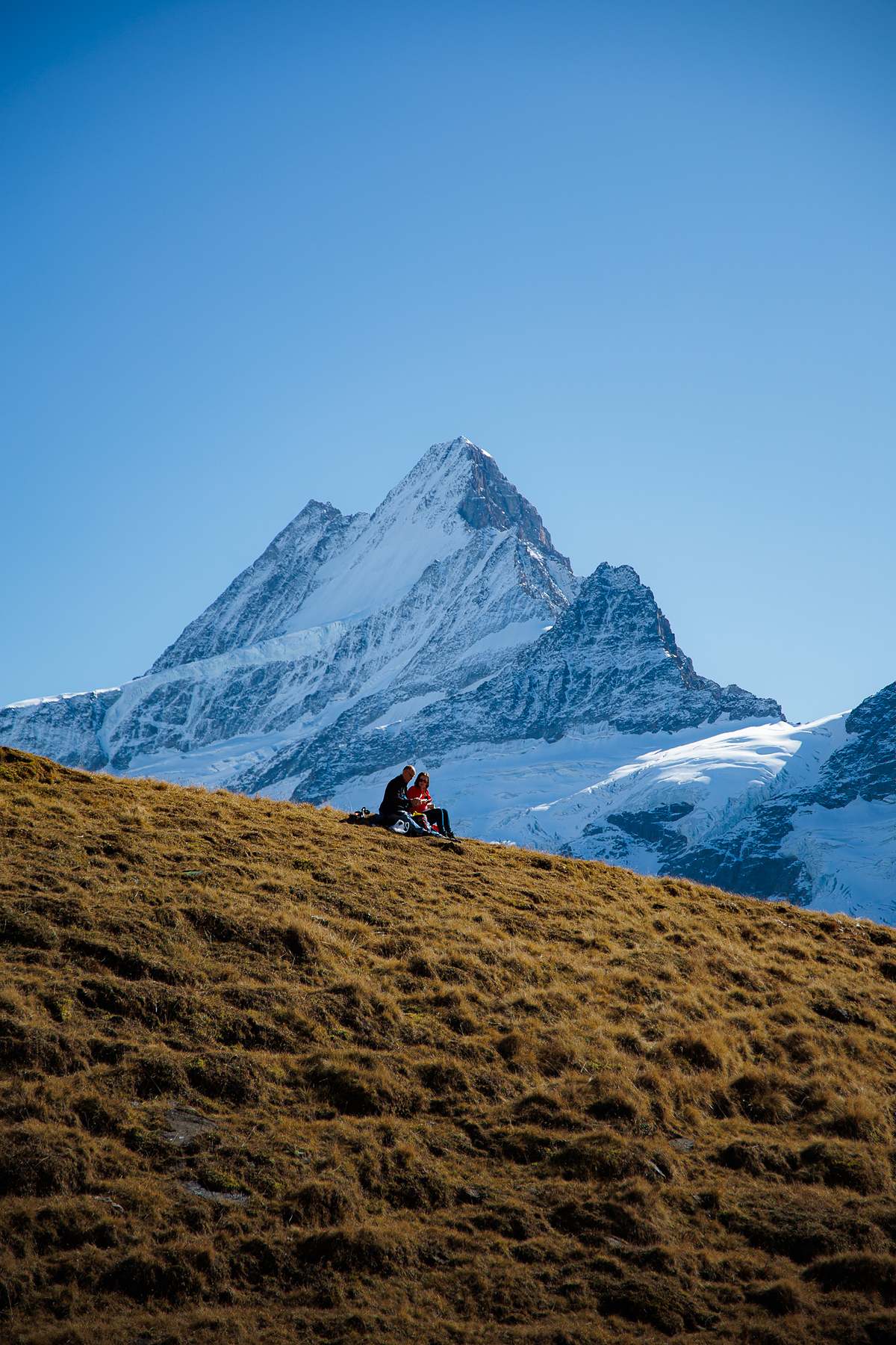 Zwei Personen sitzen auf einer goldbraunen Alpwiese am Horizont, dahinter ragt ein schroffer, schneebedeckter Berggipfel mit Gletscher in den tiefblauen Himmel