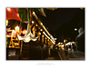 THE ONE - WILDLIFE & NATURE - "Hanging in the Light" - LIMITED EDITION 5 of 5