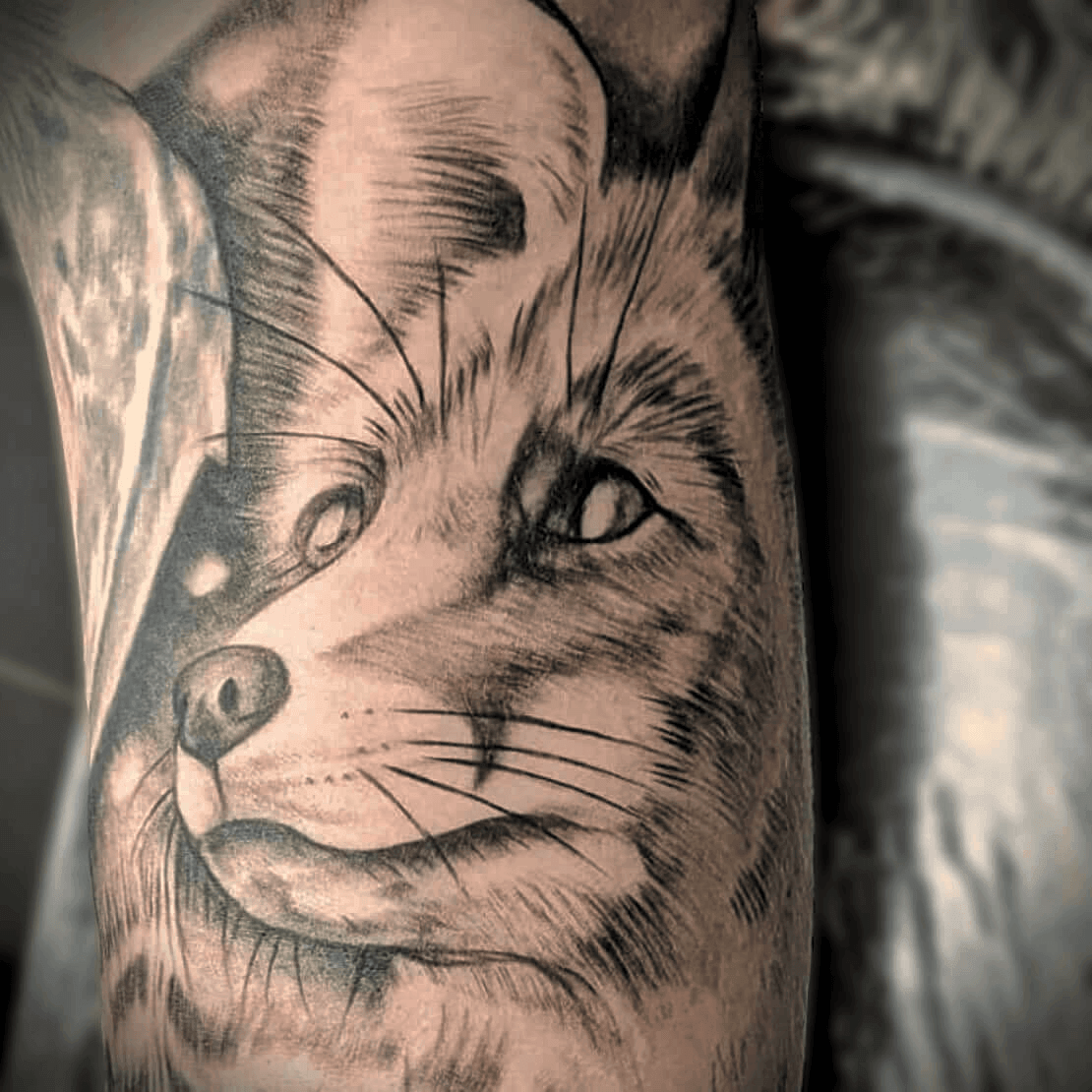Black and grey realism fox tattoo on the bicep, detailed fur texture and natural shading, wildlife portrait tattoo created in Stoke-on-Trent by Alika Tattoo Art.