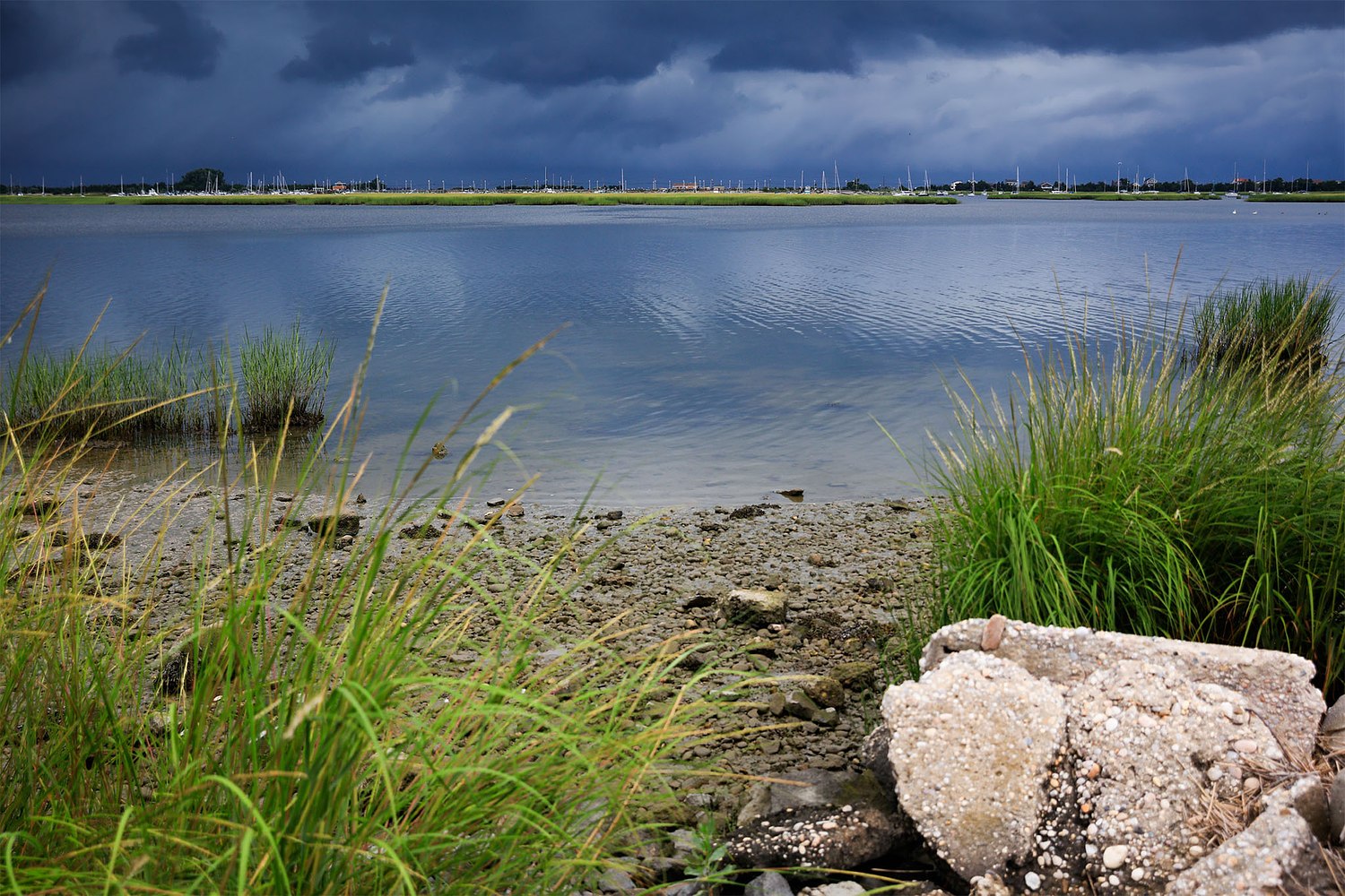 Alison Perry Photography