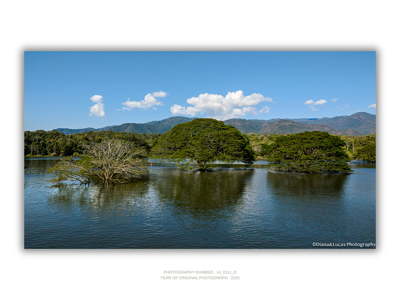 THE ONE - AERIAL PRINTS - "Standing in Water" - LIMITED EDITION 5 of 5