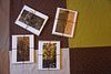 1summer painting series: Card Set of 4