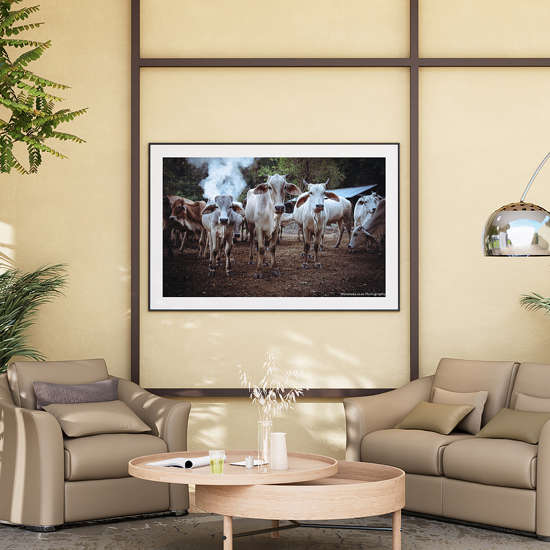 THE ONE - WILDLIFE & NATURE - "Who's Watching Who" - LIMITED EDITION 5 of 5