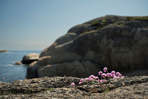 Verdens Ende