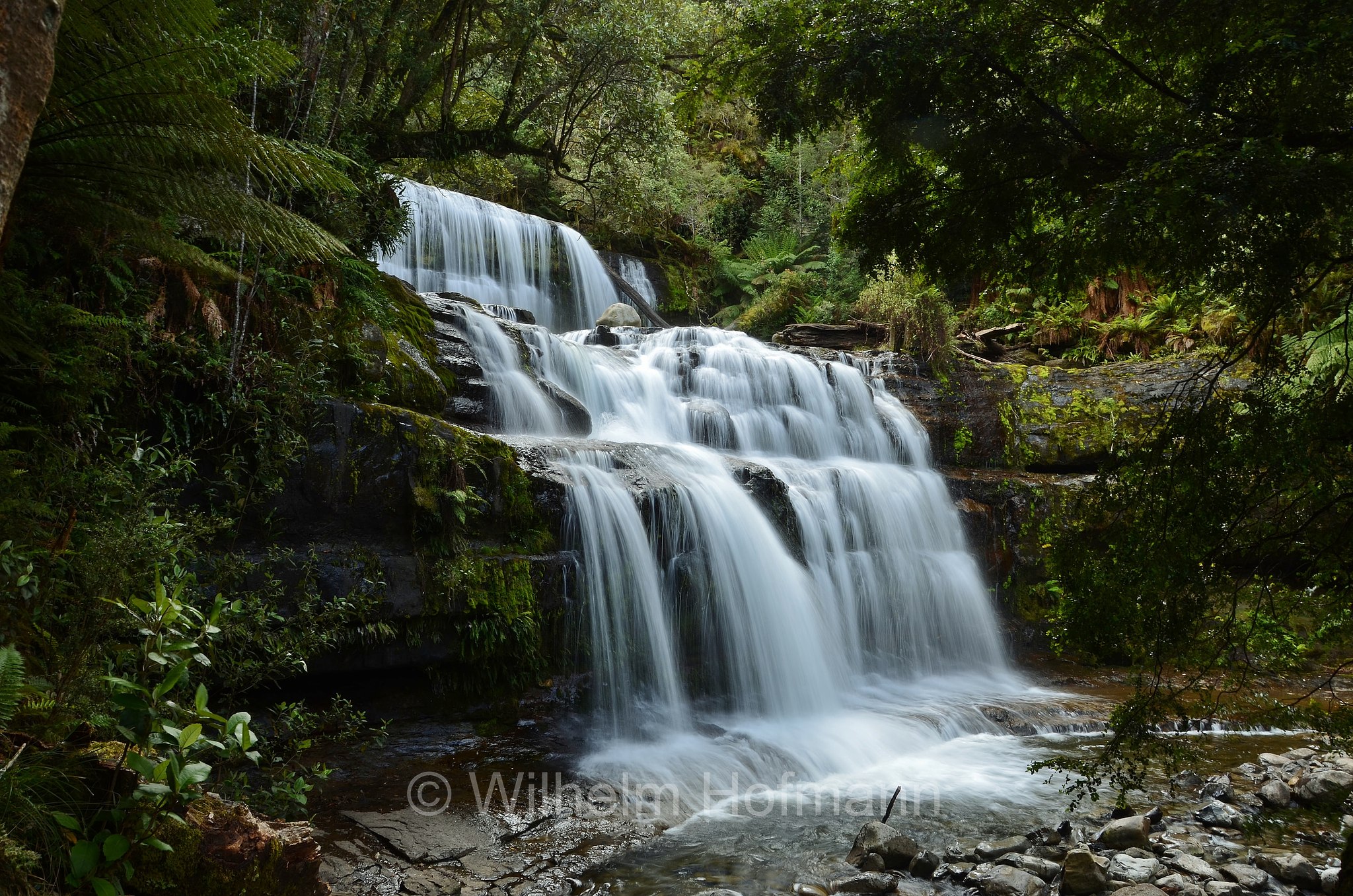 Liffey Falls, ﻿Tasmania, Tasmanien, Australia, Australien