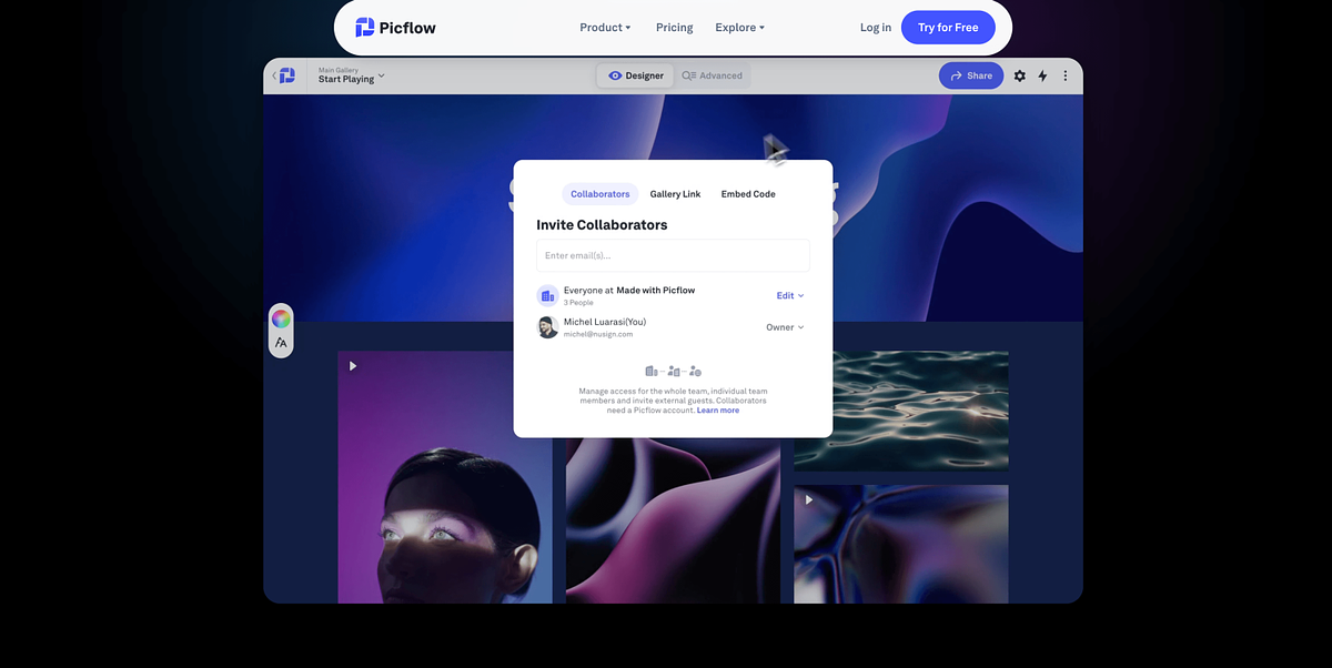 Picflow client proofing gallery with image annotations and feedback