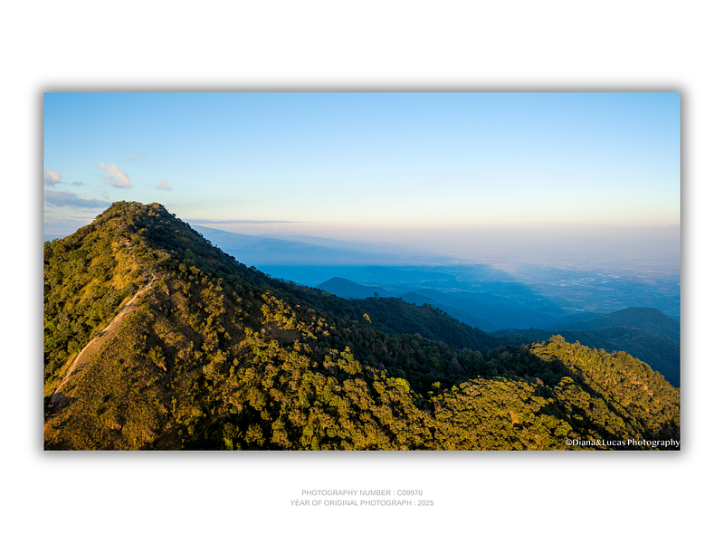 THE ONE - WILDLIFE & NATURE - "The Long View" - LIMITED EDITION 3 of 5