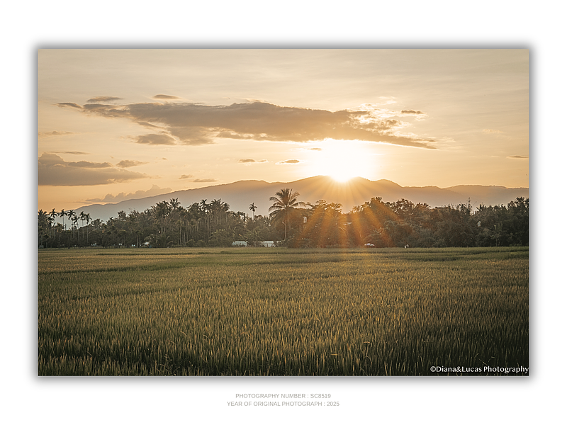 THE ONE - WILDLIFE & NATURE - "The Last Rays" - LIMITED EDITION 5 of 5