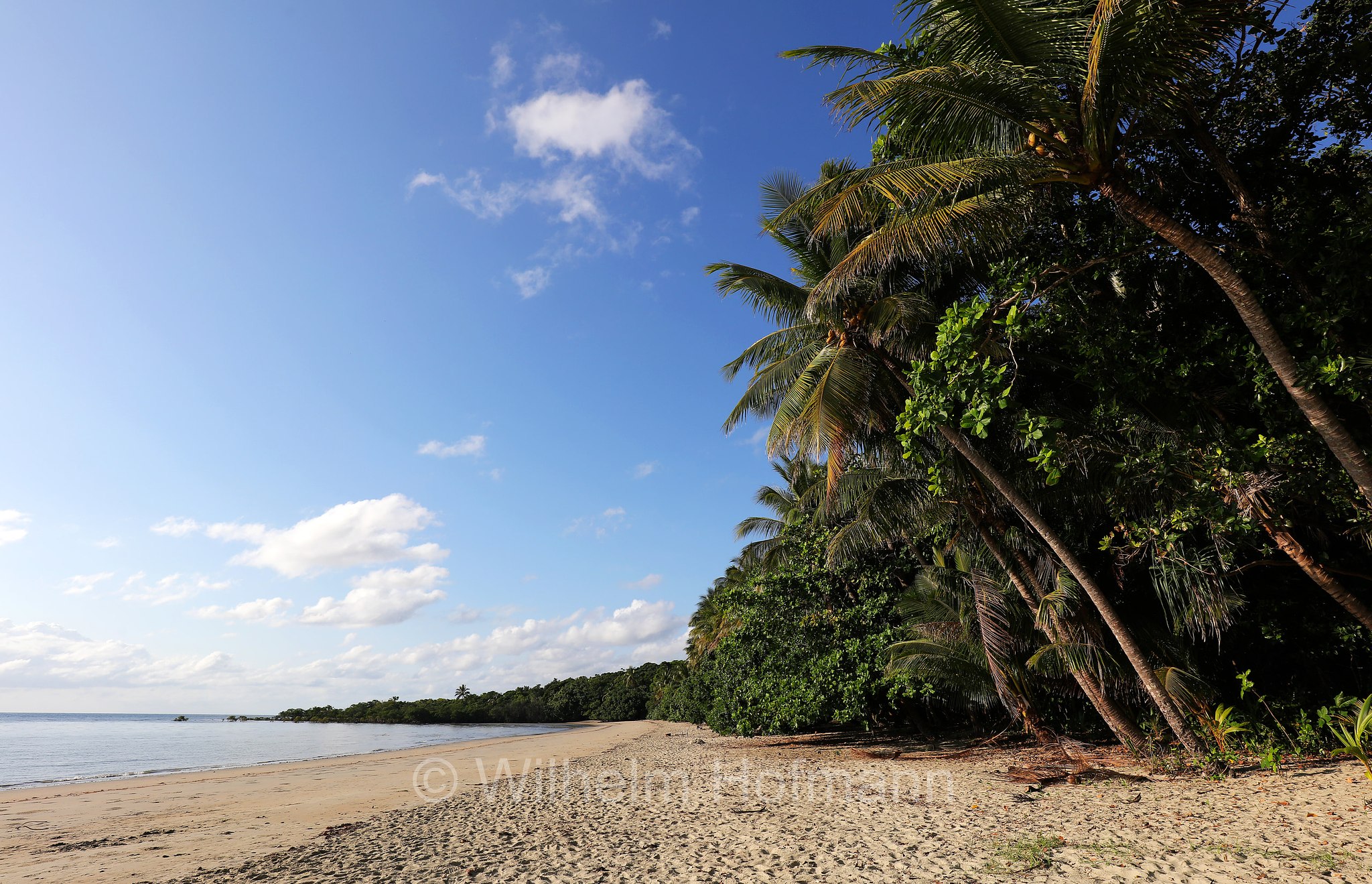 Cape Tribulation, Daintree National Park, Daintree-Nationalpark, Parco nazionale Daintree, Queensland, Australia, Australien