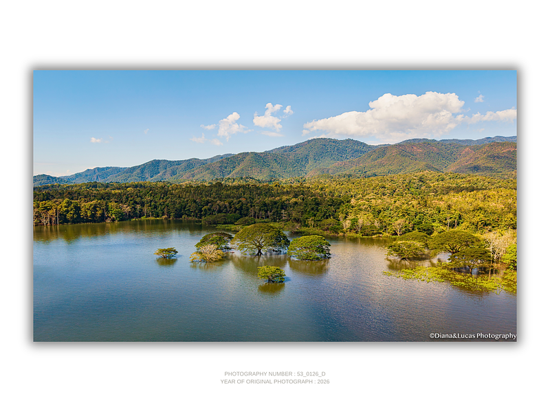 COLLECTION - FROM ABOVE HORIZONTAL - "Standing in Still Water" - LIMITED EDITION 10 of 10