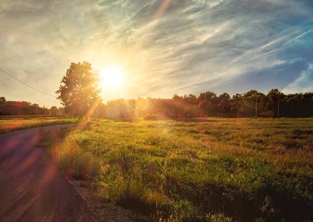 Eine sonnenüberflutete Wiese im Dorf Ulović in Bosnien bei Sonnenuntergang, mit starkem Gegenlicht, Blendenflecken (Lens Flare) und einer Landstraße im Vordergrund.