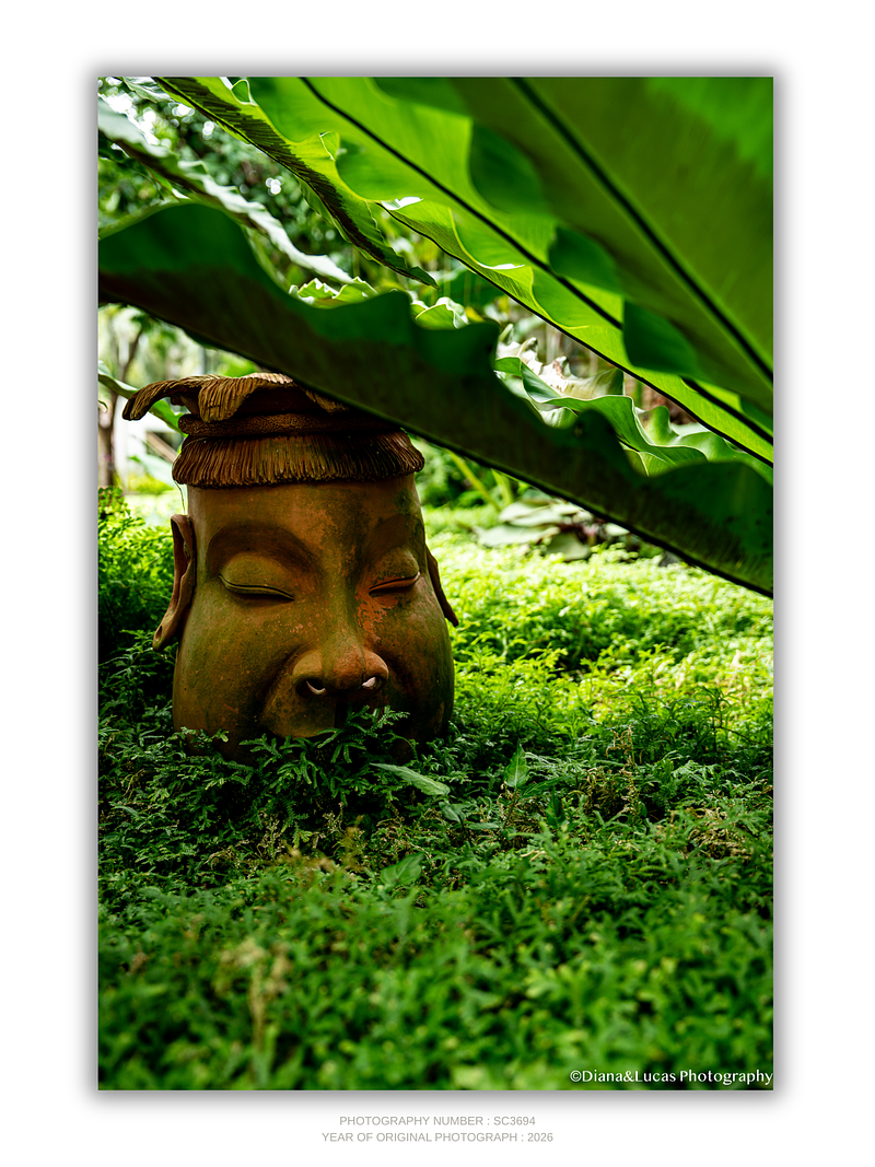 THE ONE - QUIET ICONS - "Hidden In Green" - LIMITED EDITION 5 of 5