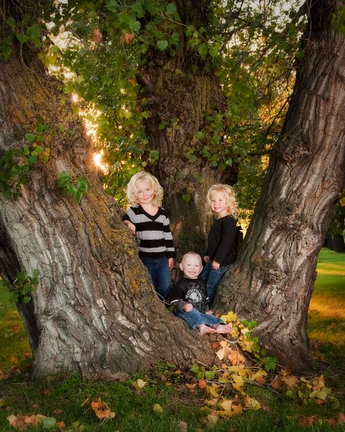 Families