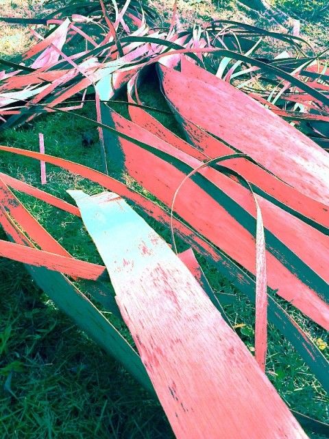 Unexpected Nature