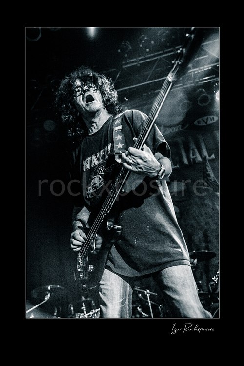 Vertical black and white image of Jimmy Bain playing bass onstage in an intense live performance shot