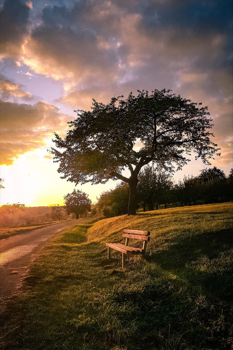 The Sunset
