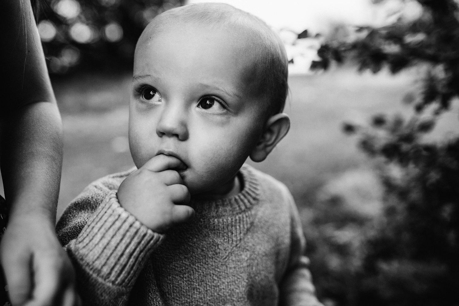 Marissa Jillian Photography