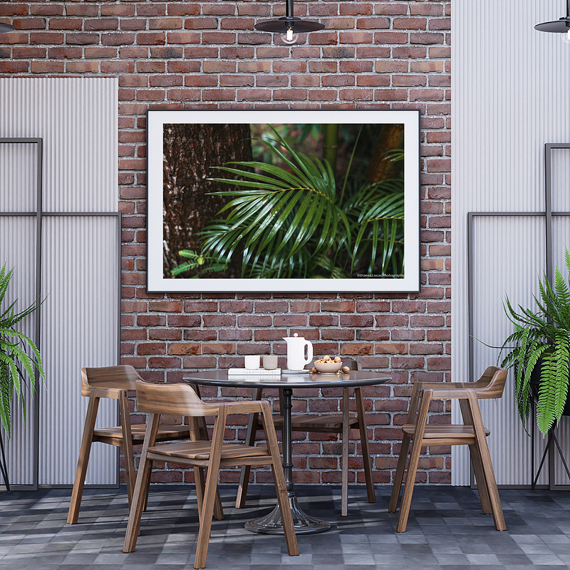 COLLECTION - GIANTS OF THE LAND HORIZONTAL - "Frond and Bark" - LIMITED COLLECTION 10 of 10