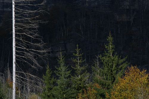 After the Fire