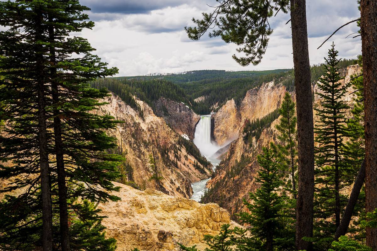 Lower Falls of the Yellowstone
