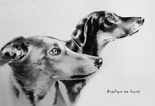Black and white double portrait of two rescue dogs looking up to the right, reacting to a sound off-frame