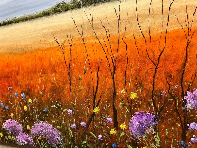 Australian Outback Wildflower Meadow