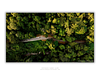 THE ONE - AERIAL PRINTS - "Canopy Cut" - LIMITED EDITION 5 of 5