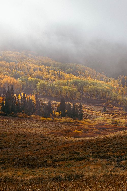 Misty Mountains