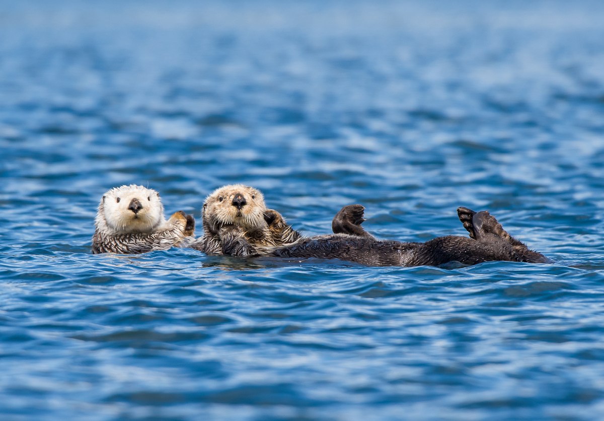 Just Floatin'