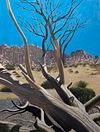 Joshua Tree on Luge Trail Section 6 JT