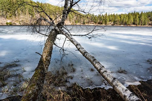 Am Hoensvannet