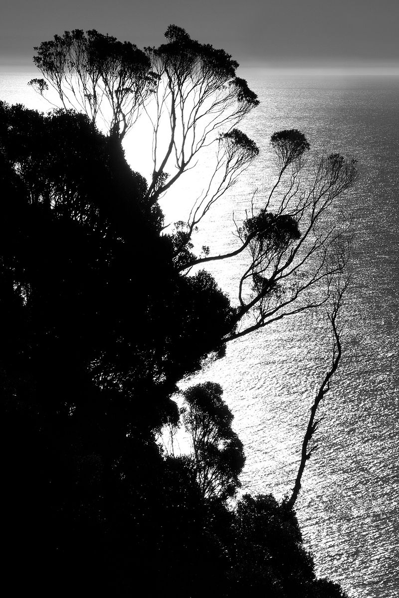 Sublime - Limited Edition Photograph | Giclée Print - Loose | 20"W X 30"H
