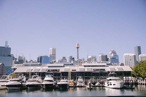 Sydney Elopement at Pyrmont Wedding Registry
