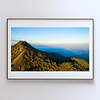 THE ONE - WILDLIFE & NATURE - "The Long View" - LIMITED EDITION 3 of 5