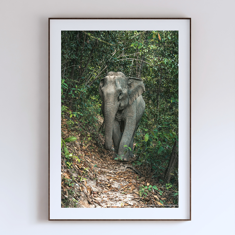 COLLECTION - GIANTS OF THE LAND VERTICAL - "She Knows This Corner" - LIMITED EDITION 9 of 10