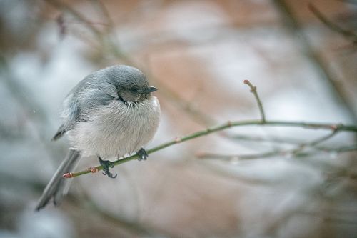 Flora & Fauna