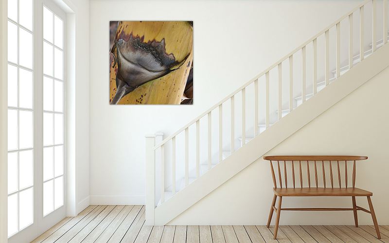 Metamorfose in Geel