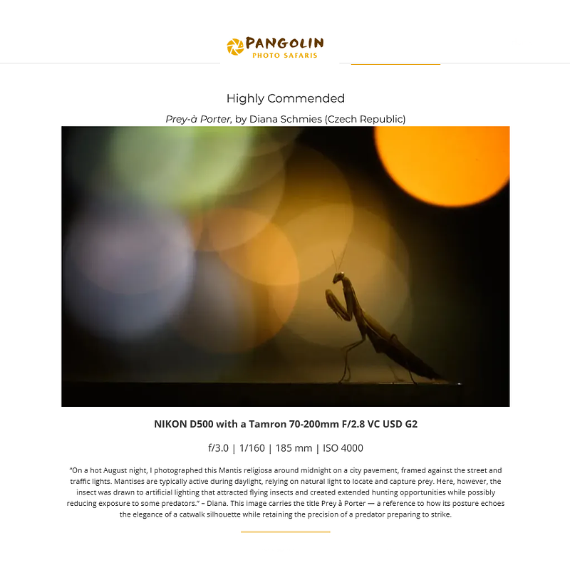 Prey-&agrave; Porter &mdash; Highly Commended in the Best of 2025