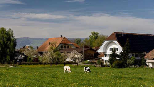 In Niederösch