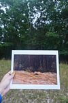 threshold to fantasy: Artist Prints