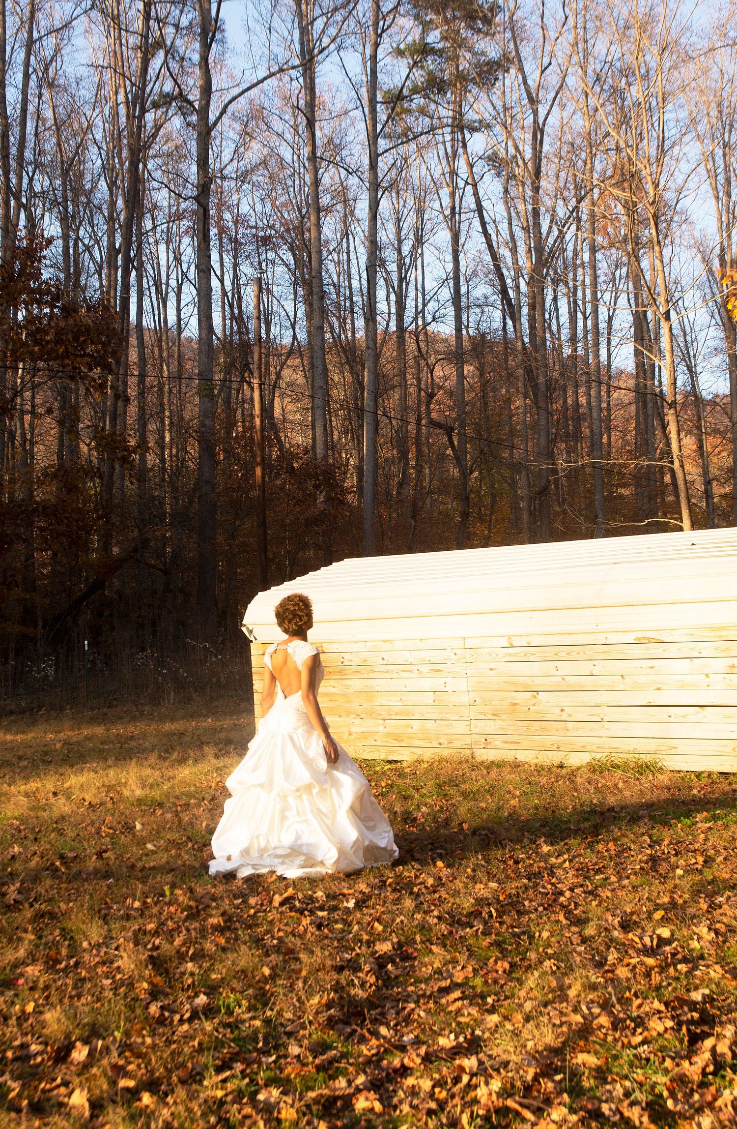 Asheville Aperture
