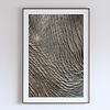 COLLECTION - GIANTS OF THE LAND VERTICAL - "Map of Skin" - LIMITED EDITION 10 of 10