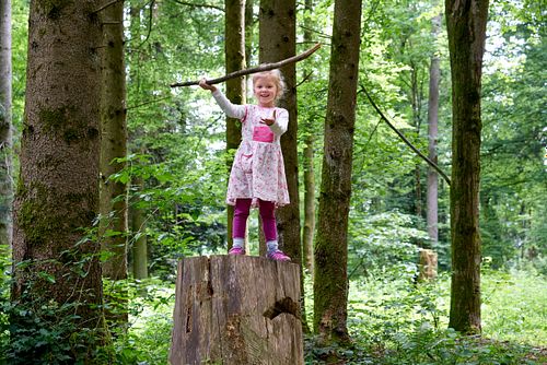 DINA IM PLEERWALD