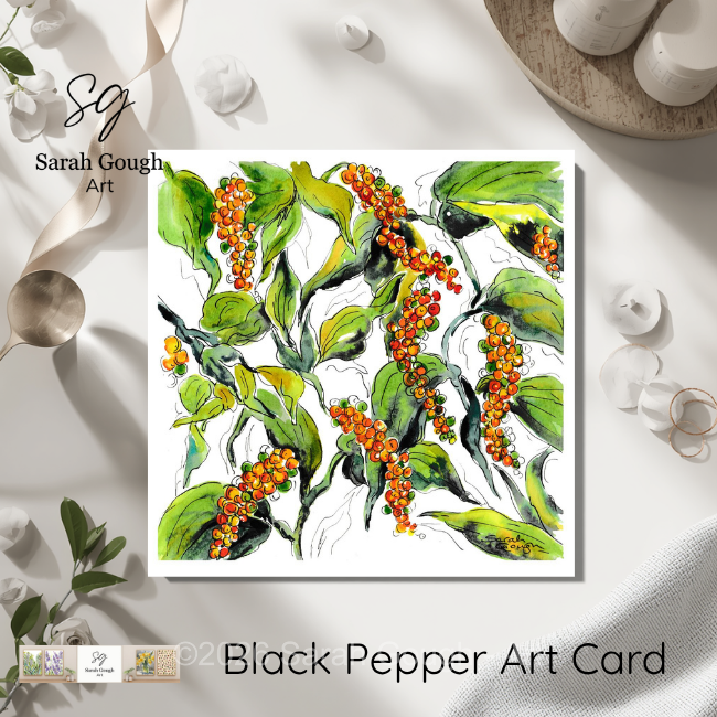 Black Pepper | Botanical Art Card | Watercolour Original Illustration | with Envelope