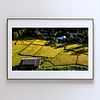THE ONE - AERIAL PRINTS - "Ready to Harvest" - LIMITED EDITION 5 of 5