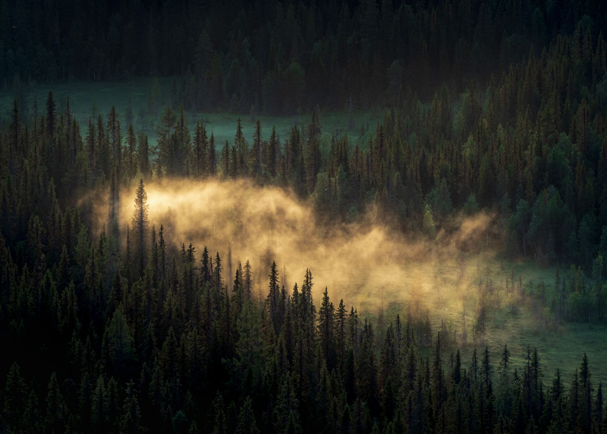 Nature