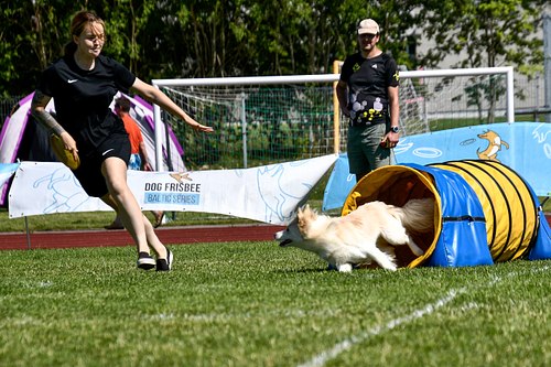 koerte frisbi voistlus 2026