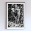 COLLECTION - GIANTS OF THE LAND VERTICAL - "Asian Elephant" - LIMITED EDITION 5 of 5